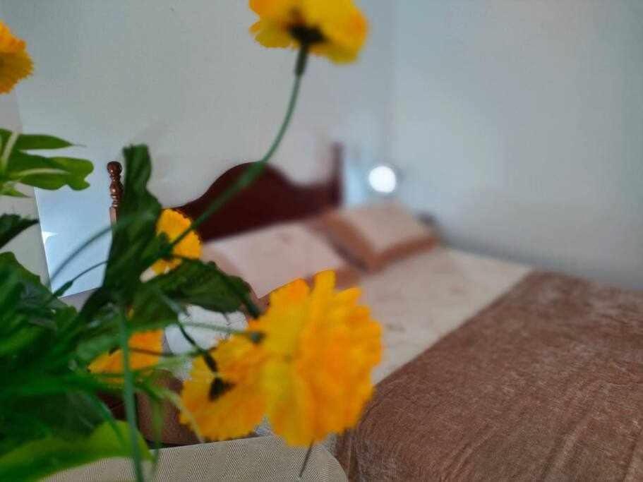 Casita De La Infanta By Sanlucar Housing Apartment ซันลูการ์เดบาร์ราเมดา ภายนอก รูปภาพ